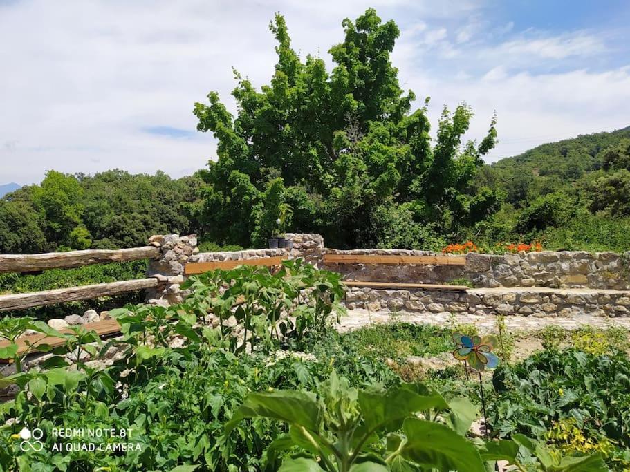 Massia Gasset Bed & Breakfast Senterada Екстериор снимка